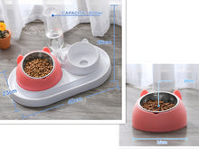 โหลดรูปภาพลงในเครื่องมือใช้ดูของ Gallery Cat Bowl Dog Bowl Food Bowl
