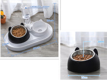 โหลดรูปภาพลงในเครื่องมือใช้ดูของ Gallery Cat Bowl Dog Bowl Food Bowl
