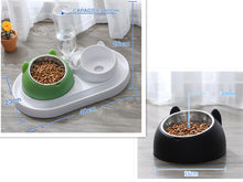 โหลดรูปภาพลงในเครื่องมือใช้ดูของ Gallery Cat Bowl Dog Bowl Food Bowl
