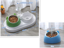 โหลดรูปภาพลงในเครื่องมือใช้ดูของ Gallery Cat Bowl Dog Bowl Food Bowl
