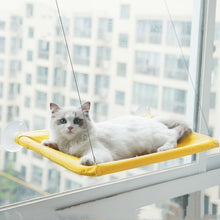 โหลดรูปภาพลงในเครื่องมือใช้ดูของ Gallery Pet Litter Sucker Hanging Cat Window Hammock
