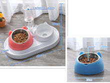 โหลดรูปภาพลงในเครื่องมือใช้ดูของ Gallery Cat Bowl Dog Bowl Food Bowl
