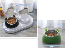 โหลดรูปภาพลงในเครื่องมือใช้ดูของ Gallery Cat Bowl Dog Bowl Food Bowl
