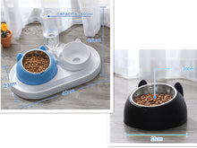 โหลดรูปภาพลงในเครื่องมือใช้ดูของ Gallery Cat Bowl Dog Bowl Food Bowl
