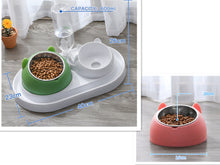 โหลดรูปภาพลงในเครื่องมือใช้ดูของ Gallery Cat Bowl Dog Bowl Food Bowl
