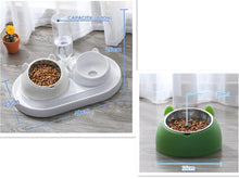 โหลดรูปภาพลงในเครื่องมือใช้ดูของ Gallery Cat Bowl Dog Bowl Food Bowl
