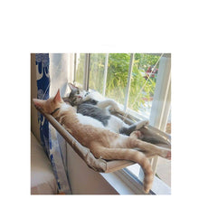 Load image into Gallery viewer, Pet Litter Sucker Hanging Cat Window Hammock
