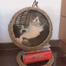 โหลดรูปภาพลงในเครื่องมือใช้ดูของ Gallery Pet Cat Litter Round Semi-enclosed Opening Cat Hanging Basket
