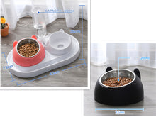 โหลดรูปภาพลงในเครื่องมือใช้ดูของ Gallery Cat Bowl Dog Bowl Food Bowl
