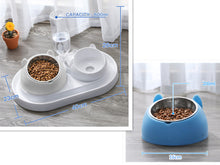 โหลดรูปภาพลงในเครื่องมือใช้ดูของ Gallery Cat Bowl Dog Bowl Food Bowl
