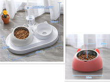 โหลดรูปภาพลงในเครื่องมือใช้ดูของ Gallery Cat Bowl Dog Bowl Food Bowl
