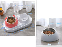 โหลดรูปภาพลงในเครื่องมือใช้ดูของ Gallery Cat Bowl Dog Bowl Food Bowl
