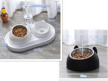 โหลดรูปภาพลงในเครื่องมือใช้ดูของ Gallery Cat Bowl Dog Bowl Food Bowl
