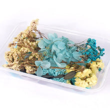 โหลดรูปภาพลงในเครื่องมือใช้ดูของ Gallery 1 Box Real Dried Flower Dry Plants For Aromatherapy Candle Epoxy Resin Pendant Necklace Jewelry Making Craft DIY Accessories
