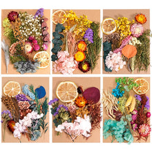 โหลดรูปภาพลงในเครื่องมือใช้ดูของ Gallery 1 Box Real Dried Flower Dry Plants For Aromatherapy Candle Epoxy Resin Pendant Necklace Jewelry Making Craft DIY Accessories
