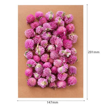 Load image into Gallery viewer, 1 Box Real Dried Flower Dry Plants For Aromatherapy Candle Epoxy Resin Pendant Necklace Jewelry Making Craft DIY Accessories
