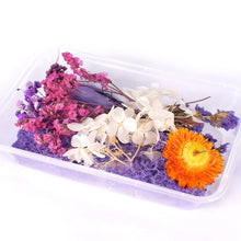 Load image into Gallery viewer, 1 Box Real Dried Flower Dry Plants For Aromatherapy Candle Epoxy Resin Pendant Necklace Jewelry Making Craft DIY Accessories
