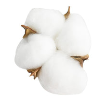 โหลดรูปภาพลงในเครื่องมือใช้ดูของ Gallery 10heads/bouquet White Dried Flowers Natural Cotton Flower Branch Decorations for Home Gardening Craft Wedding Floral Decor
