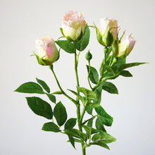 โหลดรูปภาพลงในเครื่องมือใช้ดูของ Gallery 4 Heads Artificial Flowers Long Stem Wedding Decoration Silk Rose Fake Flowers Plastic Branches with Leaves Home Hotel Decor
