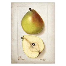 Load image into Gallery viewer, Fruit Kitchen Poster Vintage Poster Antique Canvas Print Pear Apple Orange Pineapple Wall Art Decorative Picture Canvas Painting

