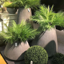 โหลดรูปภาพลงในเครื่องมือใช้ดูของ Gallery Nordic Palm Leaf Simulation Plant Loose Tail Leaf Phoenix Tail Bamboo Home Wedding Photography Garden Decoration Green Sunflower
