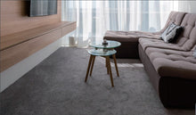 Load image into Gallery viewer, LVT Carpet Flooring Color : CP2001
